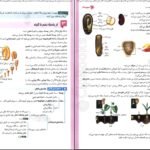 دانلود PDF کتاب زیست شناسی جامع کنکور مهرماه ۱۴۰۲ علی پناهی شایق