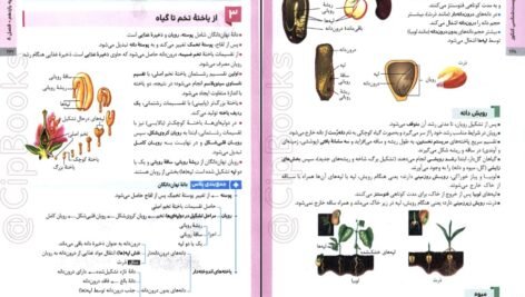 دانلود PDF کتاب زیست شناسی جامع کنکور مهرماه ۱۴۰۲ علی پناهی شایق
