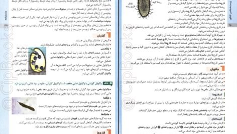 دانلود PDF کتاب زیست شناسی جامع کنکور مهرماه ۱۴۰۲ علی پناهی شایق
