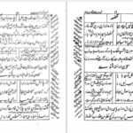 دانلود PDF کتاب شبستان نکات و گلستان لغات یحیی سیبک فتاحی نیشابوری
