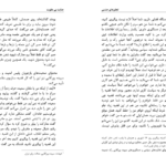 دانلود PDF کتاب جنایت بی عقوبت جلد ۲ شادی امین