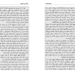 دانلود PDF کتاب جنایت بی عقوبت جلد ۲ شادی امین