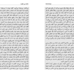 دانلود PDF کتاب جنایت بی عقوبت جلد ۲ شادی امین