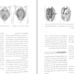 دانلود PDF کتاب بارداری و زایمان ویلیامز ۳ مهرناز ولدان