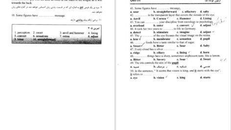 دانلود PDF کتاب روانشناسی عمومی(راهنمای متون روان‌ شناسی به زبان انگلیسی)یحیی سید محمدی