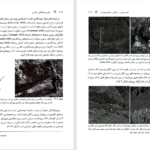 دانلود PDF کتاب مبانی چینه نگاری سکانسی دکتر عبدالحسین امینی
