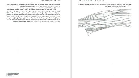دانلود PDF کتاب مبانی چینه نگاری سکانسی دکتر عبدالحسین امینی