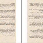 دانلود PDF کتاب هیچ وقت دروغ نگو فریدا مک فادن