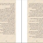 دانلود PDF کتاب هیچ وقت دروغ نگو فریدا مک فادن