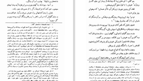 دانلود PDF کتاب کمدی الهی برزخ جلد ۲ شجاع الدین شفا