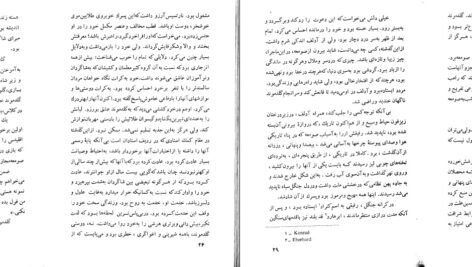 دانلود PDF کتاب نرگس و زرین دهن هرمان هسه