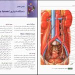 دانلود PDF کتاب آناتومی عمومی ایمانه شمایلی یگانه
