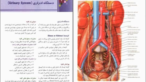 دانلود PDF کتاب آناتومی عمومی ایمانه شمایلی یگانه