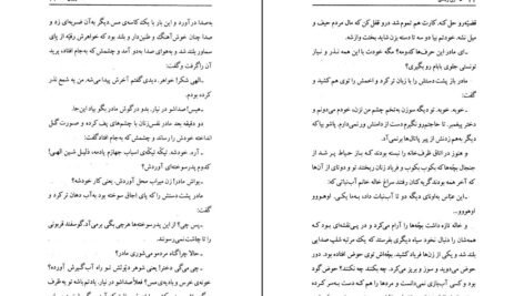 دانلود PDF کتاب زن زیادی جلال آل احمد