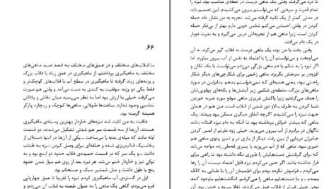 دانلود PDF کتاب زندگی پی یان مارتل