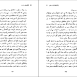 دانلود PDF کتاب زندگینامه یک عشق الکساندر ژردن