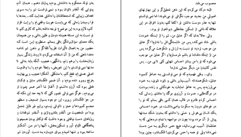 دانلود PDF کتاب زندگینامه یک عشق الکساندر ژردن