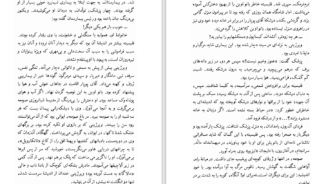 دانلود PDF کتاب سه داستان گوستاو فلوبر