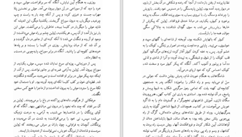دانلود PDF کتاب سه داستان گوستاو فلوبر