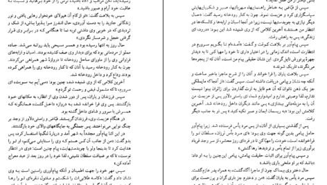 دانلود PDF کتاب سیر و سلوک زائر گلناز محمدی
