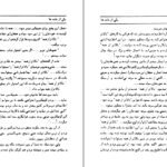 دانلود PDF کتاب مفت خور های پر مدعا عزیز نسین