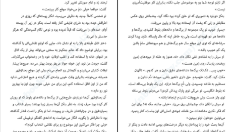 دانلود PDF کتاب پرنده‌ی اسرارآمیز مارتین داویس