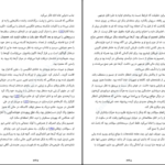 دانلود PDF کتاب پرنده‌ی اسرارآمیز مارتین داویس