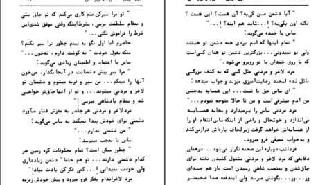 دانلود PDF کتاب گوسفندی که گرگ شد عزیز نسین