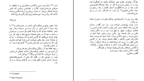 دانلود PDF کتاب یک افسانه زندگی چارلز بوکاوسکی رونی هاگ