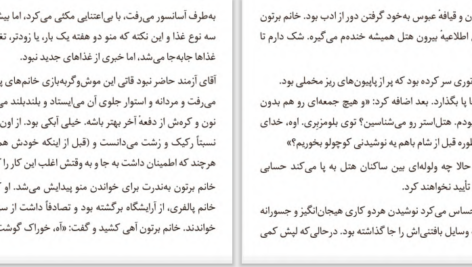 دانلود PDF کتاب خانم پالفری در کلرمانت الیزابت تیلور
