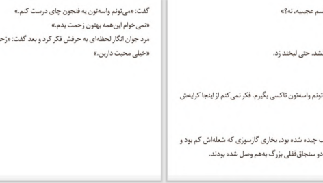 دانلود PDF کتاب خانم پالفری در کلرمانت الیزابت تیلور