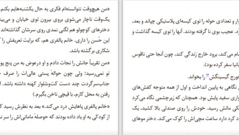 دانلود PDF کتاب خانم پالفری در کلرمانت الیزابت تیلور