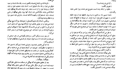 دانلود PDF کتاب توفان یا هیولا ژول ورن