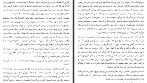 دانلود PDF کتاب داماد یخ زده مارگارت اتوود