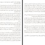 دانلود PDF کتاب داماد یخ زده مارگارت اتوود