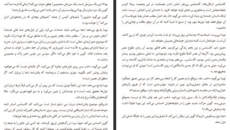 دانلود PDF کتاب داماد یخ زده مارگارت اتوود