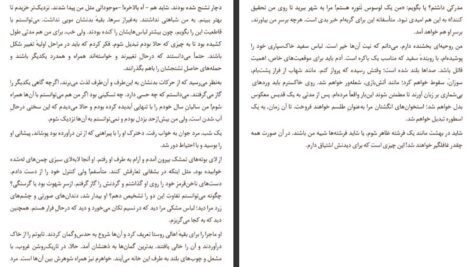 دانلود PDF کتاب داماد یخ زده مارگارت اتوود